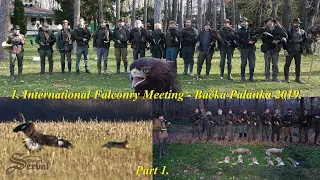 Hare hunting with eagles - 1st International Falconry Meeting - Backa Palanka 2019