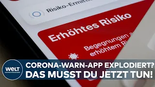 OMIKRON-WELLE IN DEUTSCHLAND: "Meine Corona-Warn-App explodiert!" I Welt News