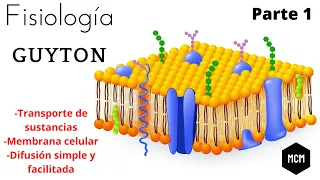 Transporte de sustancias a través de la membrana Parte I | Guyton | Fácil, rápido y sencillo