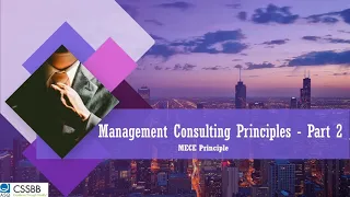 Management Consulting Principles - Part 2 - MECE Principle! Consultant Talk Series!