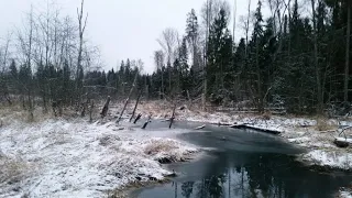 Загонная охота день второй, закрытие сезона