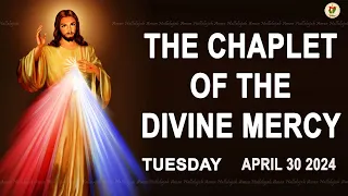 Chaplet of the Divine Mercy I Tuesday April 30 2024 I Divine Mercy Prayer I 12.00 PM