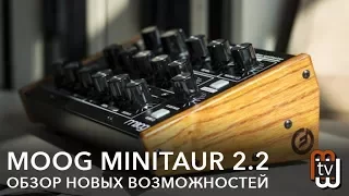 Moog Minitaur 2.2 - обзор новых возможностей