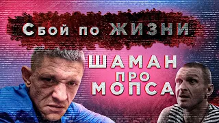 Шаман про Мопса! Что такое сбой по жизни?