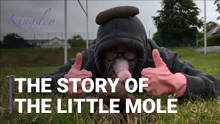 The Story of the Little Mole Who Knew it Was None of His Business  - Kingsley Style!