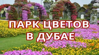 Парк цветов в Дубае🌷 (Dubai Miracle Garden)  Цветущий оазис в пустыне.🌷🌷🌷