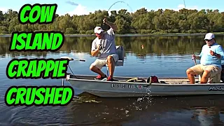 COW ISLAND CRAPPIE - Swamp fishing in the bayou.