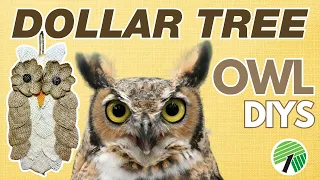 OWLS Fall Dollar Tree DIYS! Owl DIY & Tiered Tray for Autumn