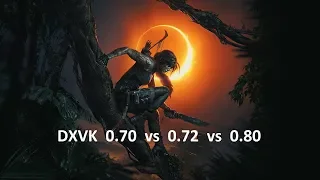 Shadow of the Tomb Raider Linux Steam Play Proton dxvk 0.70 vs 0.72 vs 0.80 Core i7 8700K GTX 1080