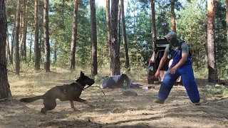 Барса Тиранівна. Тренування із захисту. 09,23р.