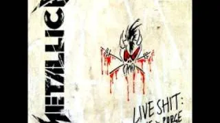 Welcome Home (Sanitarium) *LIVE* - Metallica