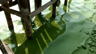 КОНЕЦ СВЕТА УЖЕ НАЧАЛСЯ! ЛЮДИ ТРАВЯТСЯ ЯДОВИТОЙ ВОДОЙ!