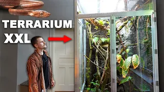 XXL TERRARIUM in Flo's Wohnzimmer ist fertig!! - Tiere dürfen heute einziehen *Hobby extrem*