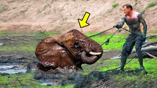 Man Saves Drowning Elephant, Then The Herd Does Something Incredible!