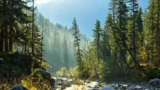 Russian folk song. SIBERIA. Taiga. Глухой неведомой тайгою.