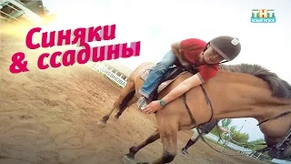 Синяки и ссадины. Конный спорт