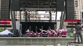 HOPAK - Kalyna Performing Arts Company | Mississauga Ukrainian Festival 2019