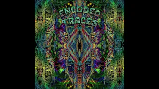 VA Encoded Traces - 7.Witch Freak - Sweetdrawal - 150