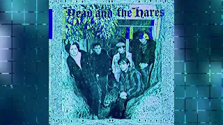 HEAD AND THE HARES  -  I'VE BEEN TOLD (MOULTY) 1992