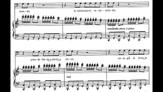 La calunnia (Il barbiere di Sivilglia - G. Rossini) Score Animation