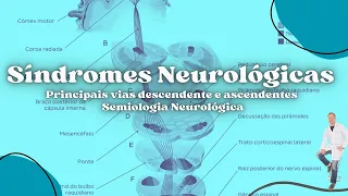 SÍNDROMES NEUROLÓGICAS - Grandes vias eferentes e aferentes e suas síndromes | Prof. Felipe Barros