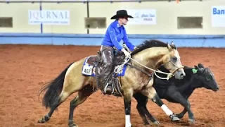 A Judge's Perspective: 2017 AQHA World Junior Working Cow Horse World Champion