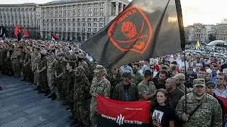 Ukraine Right Sector rallies against government in Kyiv