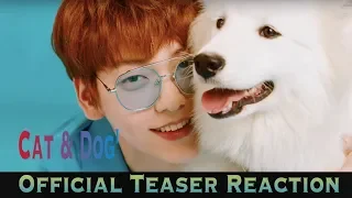 TXT (투모로우바이투게더) 'Cat & Dog' Official Teaser Reaction (멍 version)