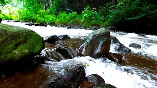 Beautifull Waterfall Relaxing Music🌿Stop Overthinking,Gentle Music,Calms the Nervous,Waterfall Music