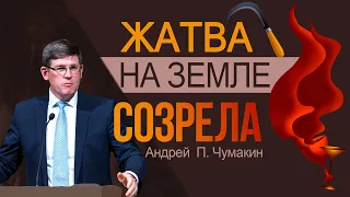 Жатва на земле созрела 👤 Андрей  П. Чумакин  📖 Отк. 14:14-20 #AndreyChumakin