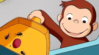 Curious George 🐵 Feeling Antsy 🐵Full Episode🐵 HD 🐵 Cartoons For Children