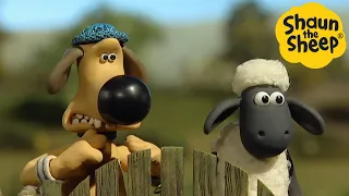 Shaun the Sheep 🐑 Bitzer and Shaun Adventure - Cartoons for Kids 🐑Full Episodes Compilation [1 hour]