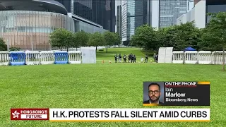 Hong Kong Protests Fall Silent Amid Curbs