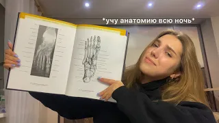 *vlog* учу анатомию всю ночь 🤡