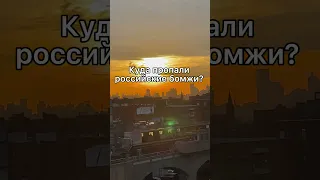 Куда пропали российские бомжи?