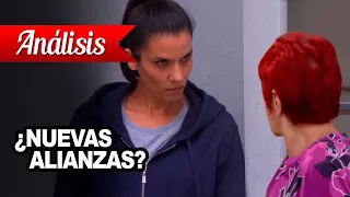 ¿Nuevas alianzas? | Análisis 273 | Al Fondo Hay Sitio 10 | Claudia y Carmen