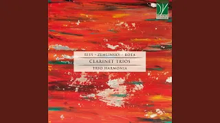 Clarinet Trio in D Minor, Op. 3: III. Allegro