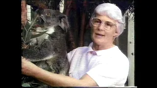 Koala documentary 1989 Australia