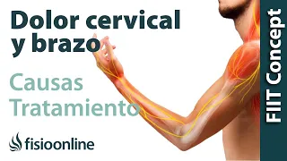 Ansiedad, palpitaciones y dolor de espalda, cervical brazo y clavícula - Causas y tratamiento