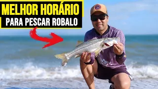 MELHOR HORÁRIO PARA PESCAR ROBALO NA PRAIA EM FLORIPA - NÃO DÁ PRA ACREDITAR ONDE ELE ATACOU!