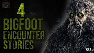 MONSTER OF THE MISSISSIPPI WOODS - 4 BIGFOOT STORIES AND BIGFOOT SIGHTINGS