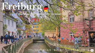 One day trip to Freiburg, Germany / Lunch at a Brewery / Shopping / Japanese garden / Cafe / Church/