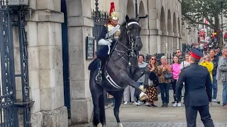 Startled Stallion: A King's Horse Takes Off Down the Street as a Fearless Guard Regains Control