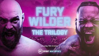 Fury vs Wilder 3 Tale of the Tape