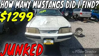 1990 Ford Mustang Junkyard Find