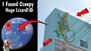 😰 I Found Creepy Huge Lizard On Wall in Real Life On Google Earth and Google Maps! #googleearth