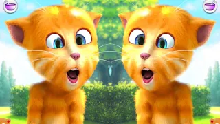 Talking Ginger 2 | my talking ginger cat | my talking ginger funny videos  |