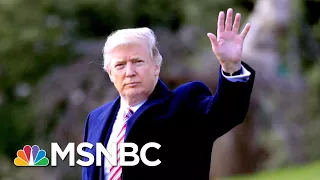 Misspellings & Wrong Words: A Day In The Life Of President Trump's Twitter | The 11th Hour | MSNBC