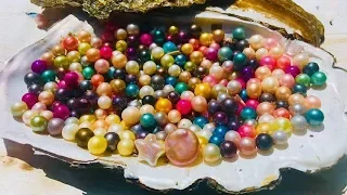 200 REAL OYSTER WITH REAL PEARL CHALLENGE! GOLDEN MOON & STARS