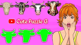 CUTE ANIMALS Indian Brahman Cow Puzzle Video ( Find The Right Brahman Cow Head )